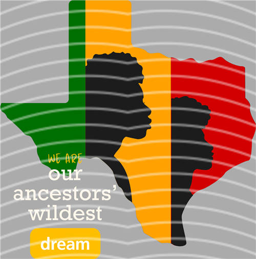 Black History in 1865-LY 242